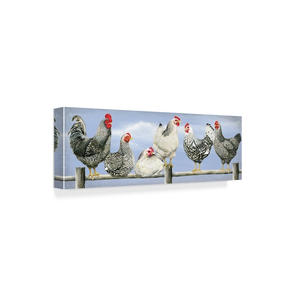 Janet Pidoux 'Black And White Hens' Canvas Art,16x47